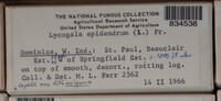 Image Associated With the Occurence